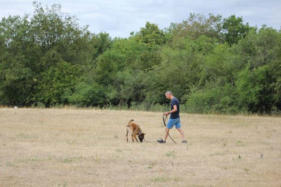 Nos activités "Le Kiff du Pif" : Cavage, Nosework, Hunting games, Recherche de personnes ou d'objets...