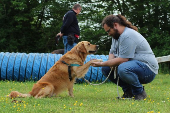Education canine positive pour sublimer la relation homme-chien